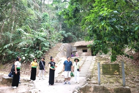 Cây bưởi Đoan Hùng trước hầm Đại tướng