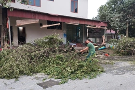 Phú Thọ thiệt hại gần 34,5 tỷ đồng do mưa dông