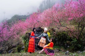 Du lịch Hà Giang nên ăn gì ngon mà lại rẻ?