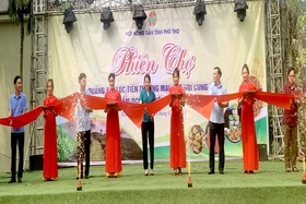 Phiên chợ quảng bá, xúc tiến thương mại, kết nối cung cầu sản phẩm OCOP và nông sản an toàn