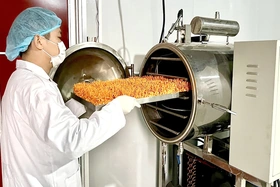 Hỗ trợ phát triển sản phẩm OCOP