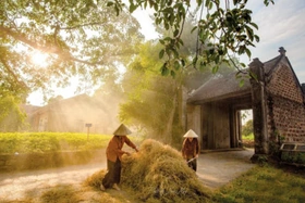 Nắng đã gọi hè