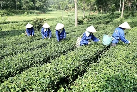 Đẩy mạnh công tác dân vận ở vùng đồng bào dân tộc thiểu số