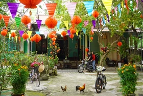 Tình người phố thị