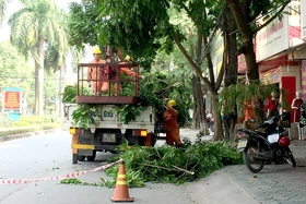 Đảm bảo an toàn lưới điện mùa mưa bão
