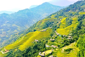 Xây dựng thương hiệu du lịch gắn với di sản ruộng bậc thang