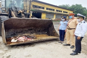 Xử lý và buộc tiêu hủy 80kg nội tạng động vật không có nguồn gốc, xuất xứ