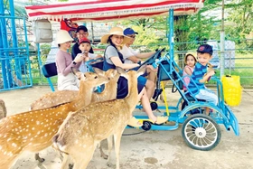 Những điểm lịch hè hấp dẫn ở Long An