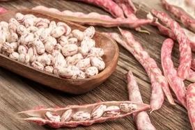 7 lợi ích từ đậu giúp cơ thể khỏe mạnh, chậm lão hóa