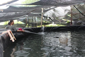 Nâng cao giá trị kinh tế thủy sản đặc sản