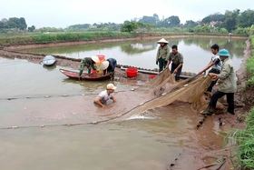 Phát triển thủy sản hiệu quả, bền vững