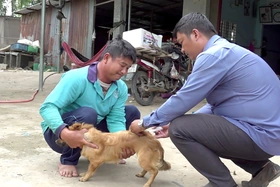 2.208 trường hợp phải tiêm vắc xin phòng bệnh dại