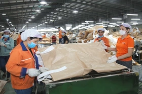 Tiếp đà tăng trưởng