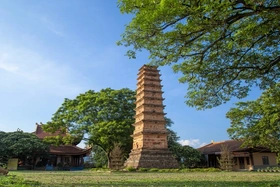 Quy hoạch bảo quản, tu bổ, phục hồi Di tích lịch sử và kiến trúc - nghệ thuật quốc gia đặc biệt tháp Bình Sơn