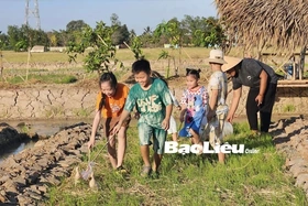 Để khách tìm về du lịch miệt vườn