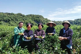 Phát triển nghề thủ công truyền thống liên quan đến trang phục dân tộc thiểu số