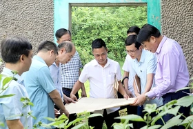 Đoàn Đại biểu Quốc hội tỉnh khảo sát việc quản lý, sử dụng, sắp xếp lại, xử lý tài sản công