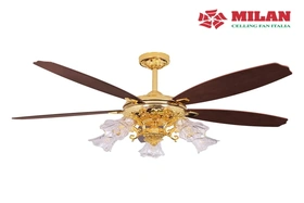 Mua quạt trần phòng bếp tại Quạt trần Italia có gì đặc biệt?