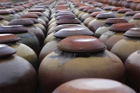 Tinh túy tương Bần