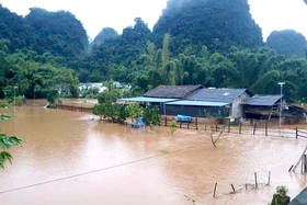 Thủ tướng chỉ đạo tập trung ứng phó nguy cơ mưa lũ, sạt lở đất tại Bắc Bộ