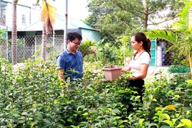 Nỗ lực thoát nghèo