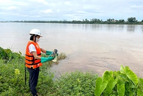 Tổng Công ty Giấy Việt Nam: Khắc phục sự cố về hiện tượng nước thải có màu nâu đậm tại cửa xả sông Hồng