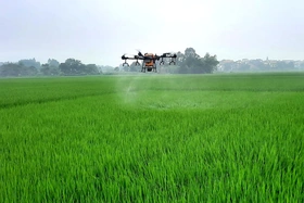 Hướng tới nền nông nghiệp xanh, bền vững