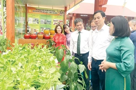 25 năm tái lập huyện Lâm Thao: Những điểm sáng trong hành trình đổi mới và phát triển