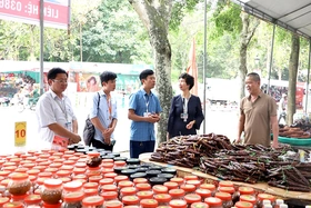 Tăng cường thanh tra, kiểm tra trong lĩnh vực y tế