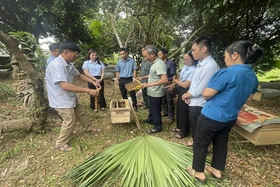 Hướng đi mới cho phát triển kinh tế