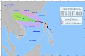 Tập trung chỉ đạo ứng phó khẩn cấp với cơn bão số 3
