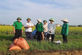 Kịp thời chỉ đạo sản xuất ứng phó với cơn bão số 3