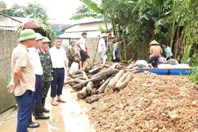 Kiểm tra công tác ứng phó, khắc phục tình trạng ngập lụt tại Hạ Hòa