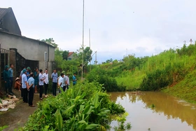 Việt Trì: Phát hiện nhiều mạch sủi tại đê quai Sông Lô