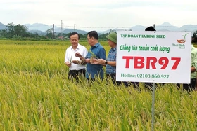 Mô hình quản lý cây trồng tổng hợp IPM/IPHM mang lại hiệu quả kinh tế cao