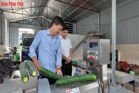 Nông dân Văn Lang giúp nhau giảm nghèo