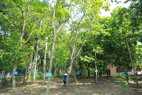 Ấm tình “Vườn cây báo Đảng”