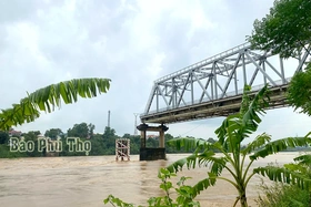 Cầu Phong Châu mới được thiết kế theo phương án cầu đúc hẫng cân bằng bê tông cốt thép và bê tông cốt thép dự ứng lực