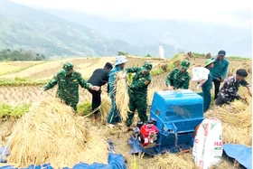 Xây dựng cơ sở chính trị vững mạnh