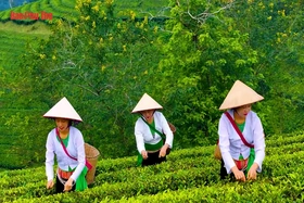 Điểm du lịch xanh có một không hai ở Phú Thọ