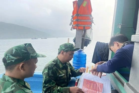 Từng bước xóa bỏ tình trạng khai thác hải sản trái phép