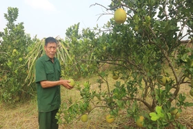 Người có uy tín làm kinh tế giỏi