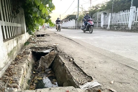 Cần sớm sửa chữa nắp cống tại vị trí lối ra, vào cầu phao Phong Châu