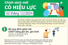 Chính sách mới có hiệu lực từ tháng 11/2024