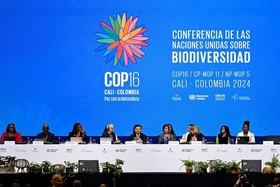 COP16: Bất đồng chưa thể vượt qua
