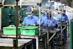 Phát huy vai trò của doanh nghiệp có vốn đầu tư trong nước