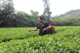 Hội viên phụ nữ làm kinh tế giỏi