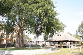 Đình Làng Quặng ngày ấy