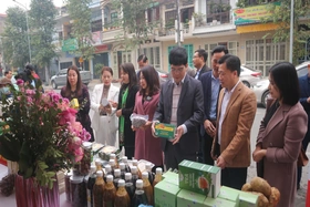 Trưng bày, giới thiệu  sản phẩm OCOP, nông sản trong và ngoài tỉnh