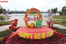 Việt Trì rực rỡ chào Xuân Ất Tỵ